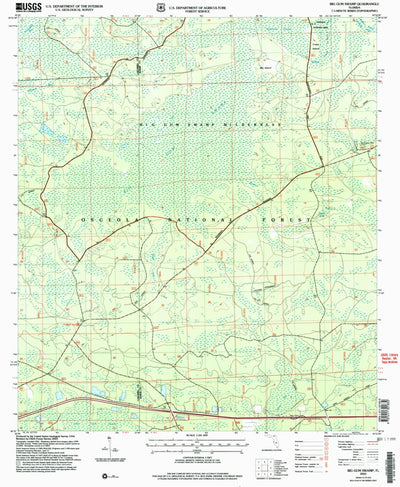 United States Geological Survey Big Gum Swamp, FL (2005, 24000-Scale) digital map
