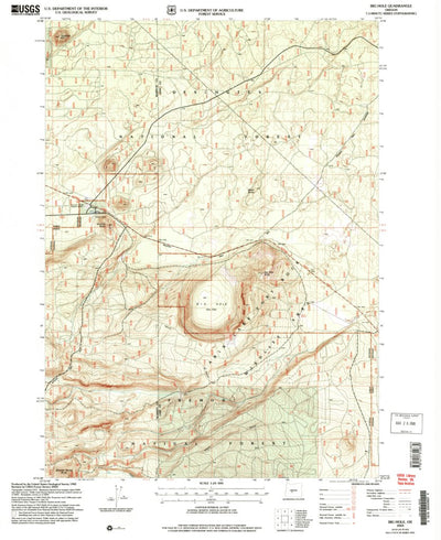 United States Geological Survey Big Hole, OR (2004, 24000-Scale) digital map