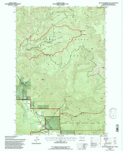 United States Geological Survey Big Huckleberry Mountain, WA (1994, 24000-Scale) digital map