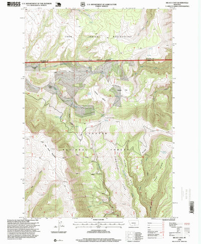 United States Geological Survey Big Ice Cave, MT (1996, 24000-Scale) digital map