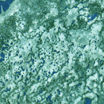 United States Geological Survey Big Lostmans Bay, FL (1973, 24000-Scale) digital map