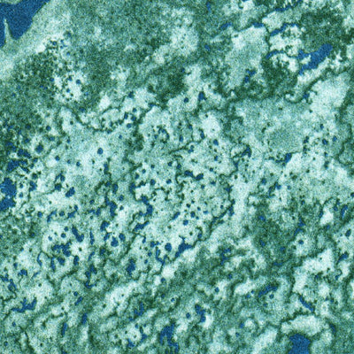 United States Geological Survey Big Lostmans Bay, FL (1973, 24000-Scale) digital map