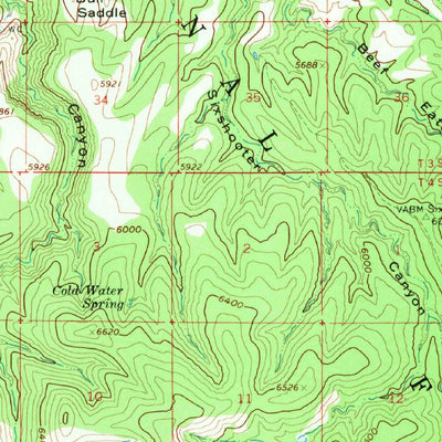 United States Geological Survey Big Lue Mountains, AZ-NM (1962, 62500-Scale) digital map