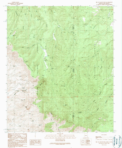 United States Geological Survey Big Lue Mountains, AZ-NM (1989, 24000-Scale) digital map