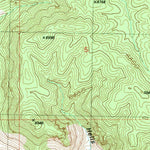 United States Geological Survey Big Lue Mountains, AZ-NM (1989, 24000-Scale) digital map