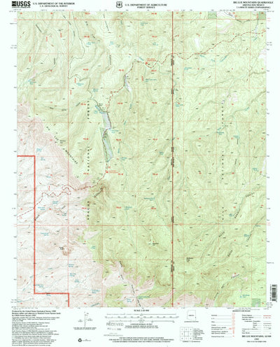 United States Geological Survey Big Lue Mountains, AZ-NM (1997, 24000-Scale) digital map