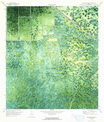 United States Geological Survey Big Mound North, FL (1970, 24000-Scale) digital map