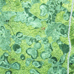 United States Geological Survey Big Mound North, FL (1970, 24000-Scale) digital map