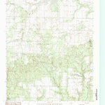 United States Geological Survey Big Mound, TX (1983, 24000-Scale) digital map