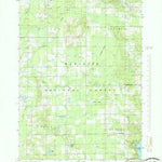 United States Geological Survey Big Prairie, MI (1985, 24000-Scale) digital map