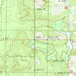 United States Geological Survey Big Prairie, MI (1985, 24000-Scale) digital map