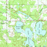 United States Geological Survey Big Rapids, MI (1958, 62500-Scale) digital map