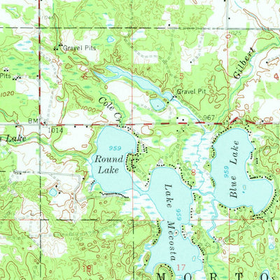 United States Geological Survey Big Rapids, MI (1958, 62500-Scale) digital map