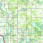 United States Geological Survey Big Rapids, MI (1991, 100000-Scale) digital map