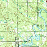 United States Geological Survey Big Rapids, MI (1991, 100000-Scale) digital map