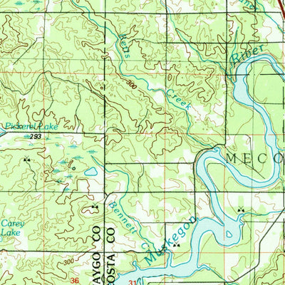 United States Geological Survey Big Rapids, MI (1991, 100000-Scale) digital map