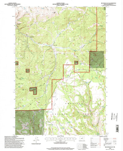 United States Geological Survey Big Rock Flat, OR (1995, 24000-Scale) digital map