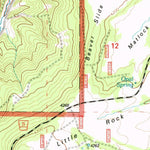 United States Geological Survey Big Rock Flat, OR (1995, 24000-Scale) digital map