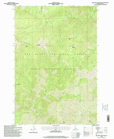 United States Geological Survey Big Rock Mountain, ID (1995, 24000-Scale) digital map