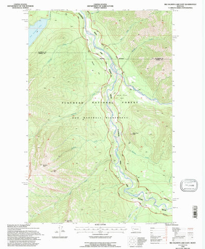 United States Geological Survey Big Salmon Lake East, MT (1994, 24000-Scale) digital map