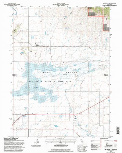 United States Geological Survey Big Swamp, CA (1993, 24000-Scale) digital map