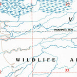 United States Geological Survey Big Swamp, CA (1993, 24000-Scale) digital map