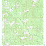 United States Geological Survey Big Swamp, MS (1983, 24000-Scale) digital map