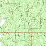 United States Geological Survey Big Swamp, MS (1983, 24000-Scale) digital map