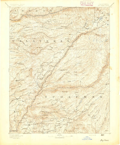 United States Geological Survey Big Trees, CA (1894, 125000-Scale) digital map