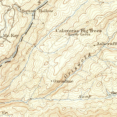 United States Geological Survey Big Trees, CA (1894, 125000-Scale) digital map