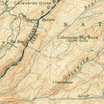 United States Geological Survey Big Trees, CA (1901, 125000-Scale) digital map