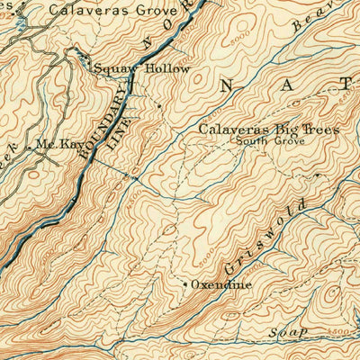 United States Geological Survey Big Trees, CA (1901, 125000-Scale) digital map
