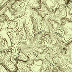 United States Geological Survey Big Valley North, TX (1925, 48000-Scale) digital map