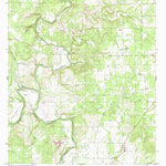 United States Geological Survey Big Valley North, TX (1980, 24000-Scale) digital map
