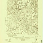 United States Geological Survey Big Valley South, TX (1925, 48000-Scale) digital map