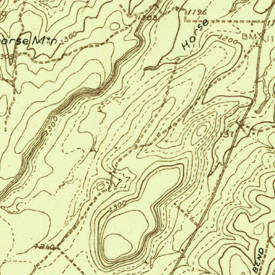 United States Geological Survey Big Valley South, TX (1925, 48000-Scale) digital map