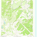 United States Geological Survey Big Valley South, TX (1979, 24000-Scale) digital map