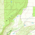 United States Geological Survey Big Valley South, TX (1979, 24000-Scale) digital map