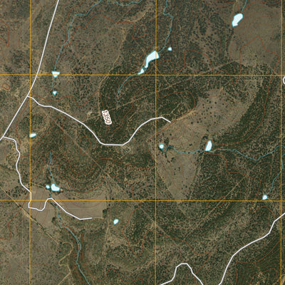 United States Geological Survey Big Valley South, TX (2010, 24000-Scale) digital map