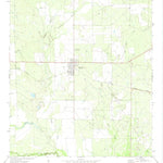 United States Geological Survey Big Wells, TX (1972, 24000-Scale) digital map