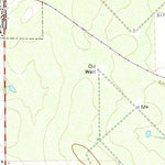 United States Geological Survey Big Wells, TX (1972, 24000-Scale) digital map