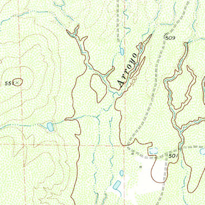 United States Geological Survey Big Wells, TX (1972, 24000-Scale) digital map