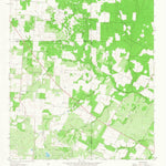 United States Geological Survey Bigfoot, TX (1964, 24000-Scale) digital map