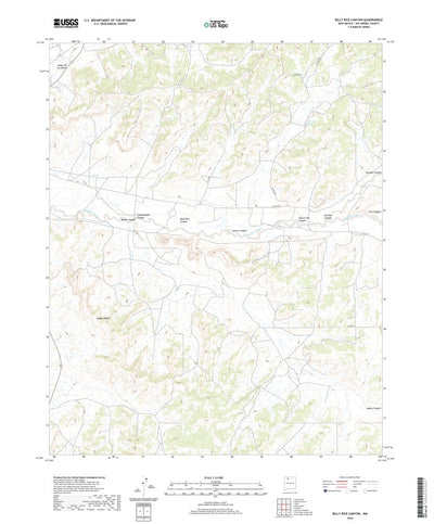 United States Geological Survey Billy Rice Canyon, NM (2020, 24000-Scale) digital map