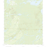 United States Geological Survey Billys Island, GA (2020, 24000-Scale) digital map