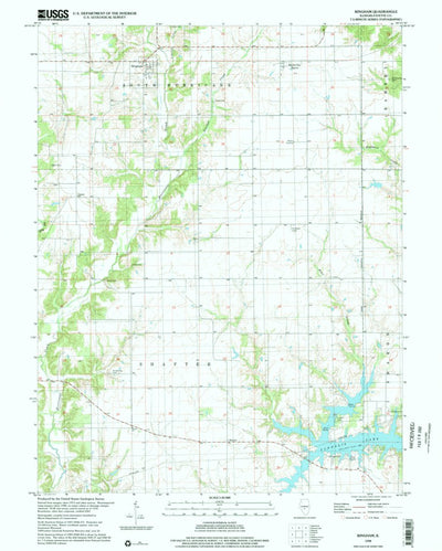 United States Geological Survey Bingham, IL (1998, 24000-Scale) digital map