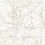 United States Geological Survey Bingham, NE (1989, 24000-Scale) digital map