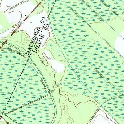 United States Geological Survey Bingham, SC (1972, 24000-Scale) digital map
