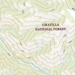 United States Geological Survey Bingham Springs, OR (2020, 24000-Scale) digital map