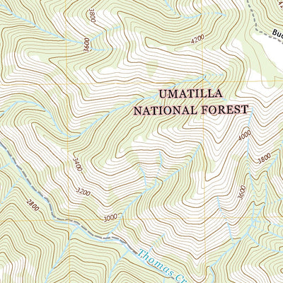 United States Geological Survey Bingham Springs, OR (2020, 24000-Scale) digital map
